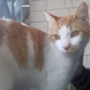 Meet your Posher, Roberta